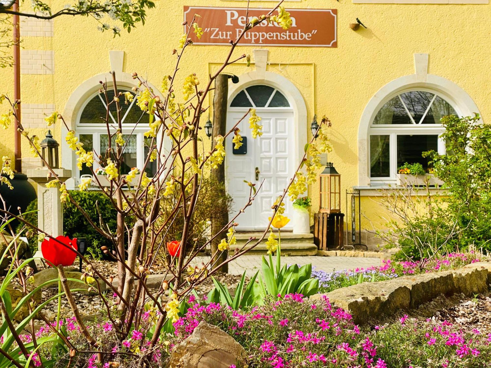 Restaurant Und Pension Zur Puppenstube Stolpen Luaran gambar