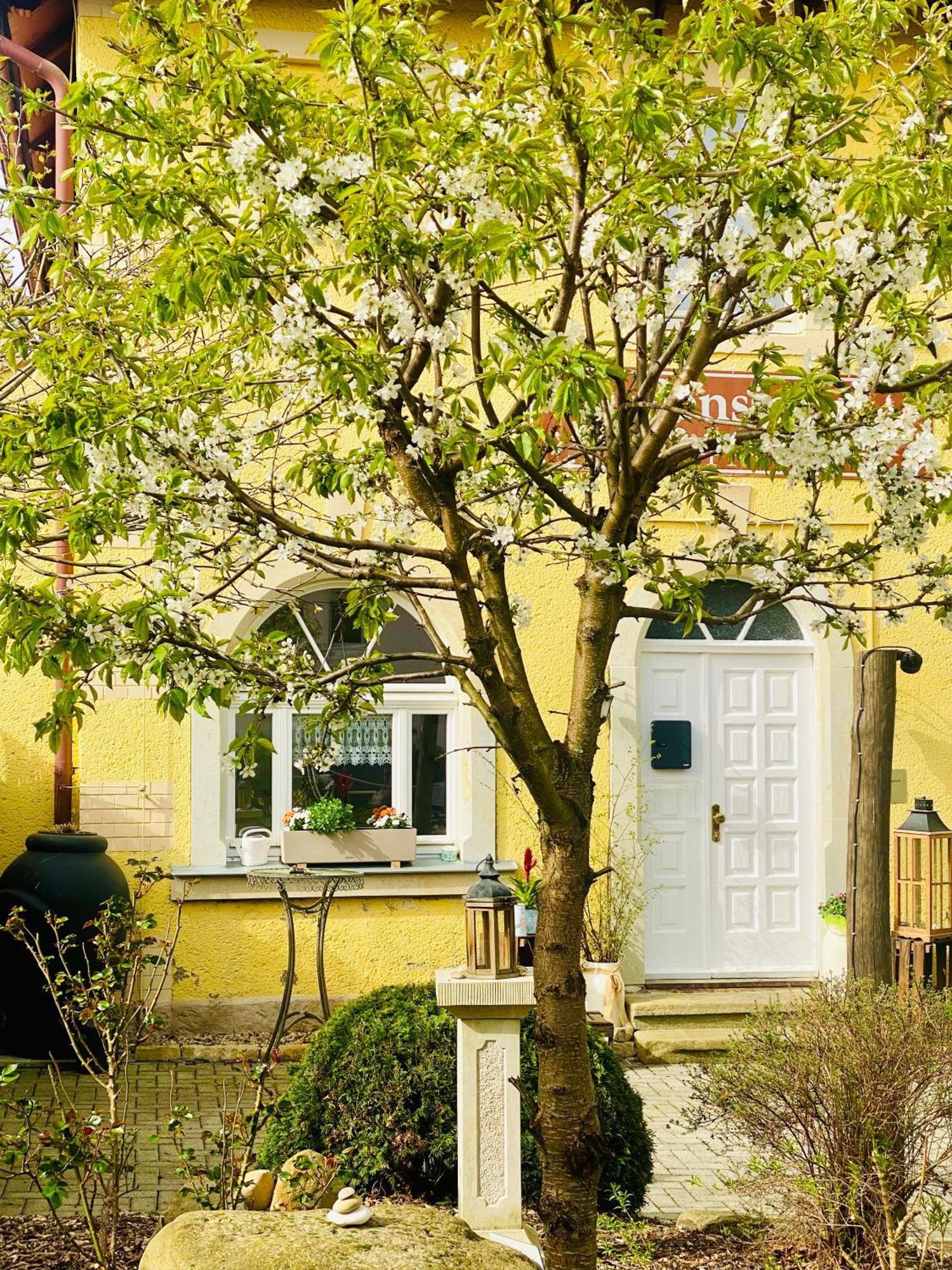 Restaurant Und Pension Zur Puppenstube Stolpen Luaran gambar